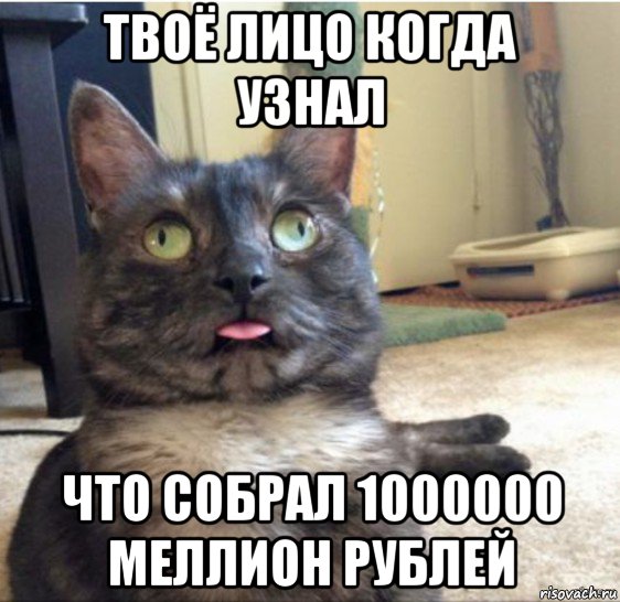 твоё лицо когда узнал что собрал 1000000 меллион рублей, Мем   Кот завис