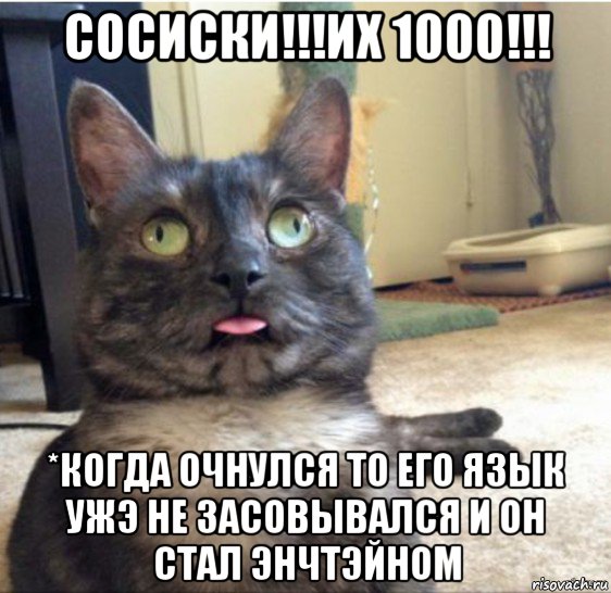 сосиски!!!их 1000!!! *когда очнулся то его язык ужэ не засовывался и он стал энчтэйном, Мем   Кот завис