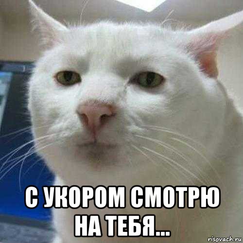  с укором смотрю на тебя...