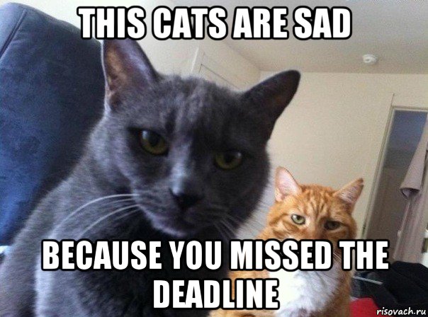 this cats are sad because you missed the deadline