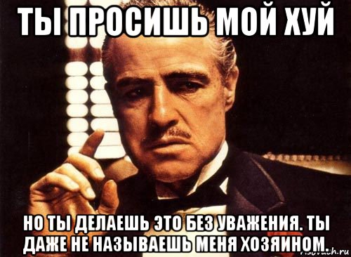 ты просишь мой хуй но ты делаешь это без уважения. ты даже не называешь меня хозяином., Мем крестный отец