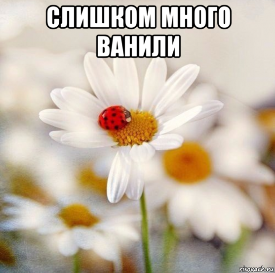 слишком много ванили 