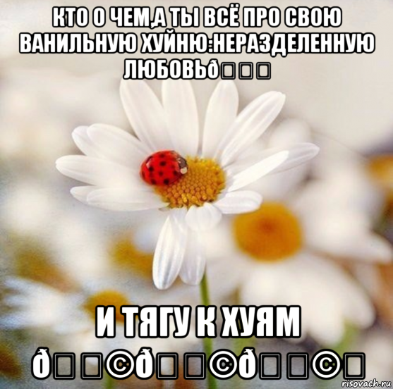 смешная картинка, смешной комикс, прикол