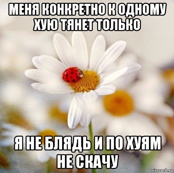 меня конкретно к одному хую тянет только я не блядь и по хуям не скачу