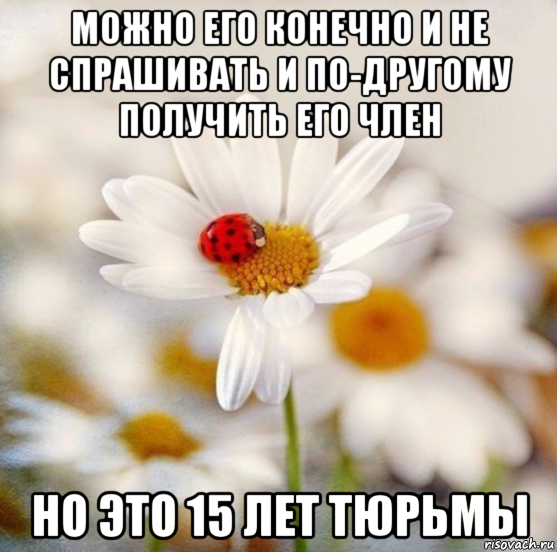 можно его конечно и не спрашивать и по-другому получить его член но это 15 лет тюрьмы