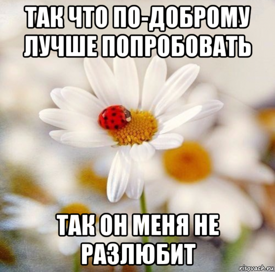 так что по-доброму лучше попробовать так он меня не разлюбит