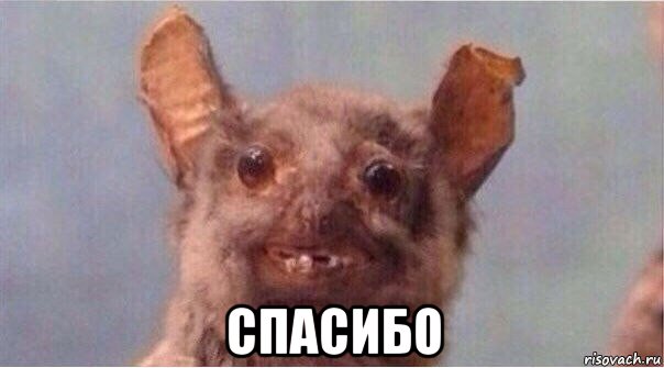  спасибо