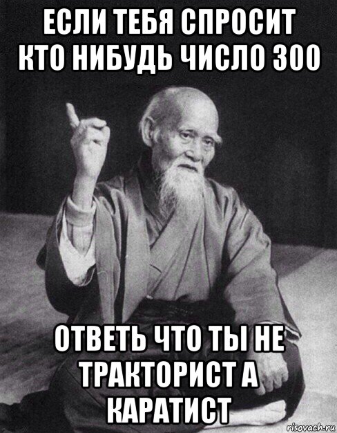 если тебя спросит кто нибудь число 300 ответь что ты не тракторист а каратист, Мем Монах-мудрец (сэнсей)