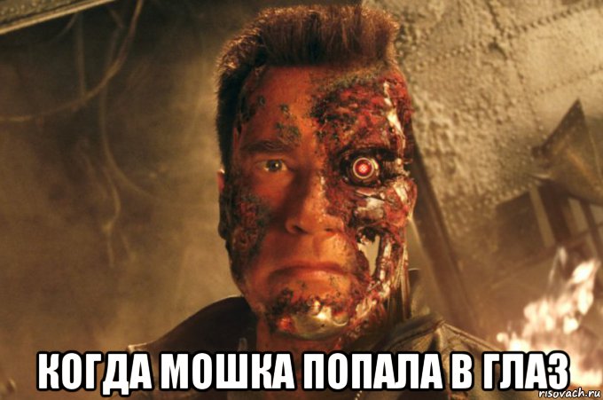  когда мошка попала в глаз, Мем Мошка