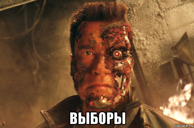  выборы, Мем Мошка