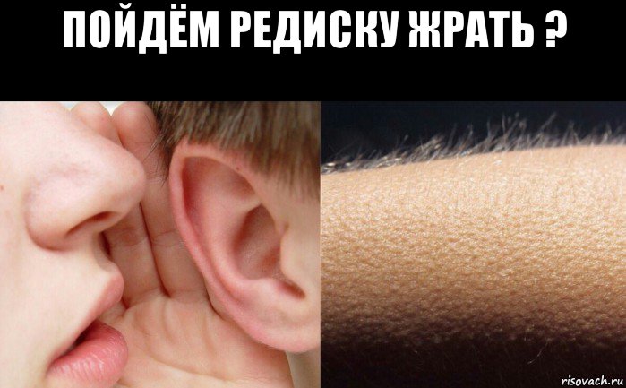 пойдём редиску жрать ? 