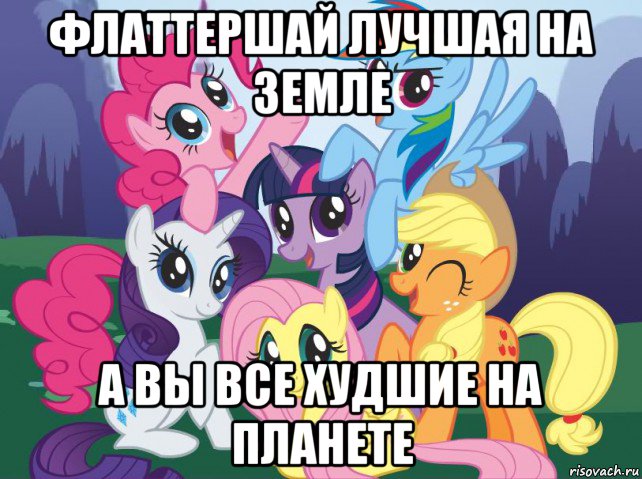 флаттершай лучшая на земле а вы все худшие на планете, Мем My little pony