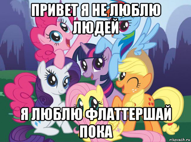 привет я не люблю людей я люблю флаттершай пока, Мем My little pony