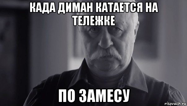 када диман катается на тележке по замесу, Мем Не огорчай Леонида Аркадьевича