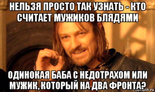 нельзя просто так узнать - кто считает мужиков блядями одинокая баба с недотрахом или мужик, который на два фронта?, Мем Нельзя просто так взять и (Боромир мем)