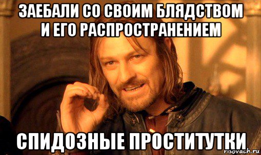 заебали со своим блядством и его распространением спидозные проститутки, Мем Нельзя просто так взять и (Боромир мем)