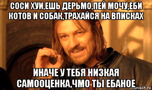 соси хуи,ешь дерьмо,пей мочу,еби котов и собак,трахайся на вписках иначе у тебя низкая самооценка,чмо ты ебаное, Мем Нельзя просто так взять и (Боромир мем)