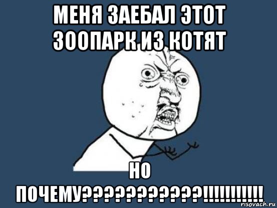 меня заебал этот зоопарк из котят но почему???????????!!!!!!!!!!!, Мем Ну почему