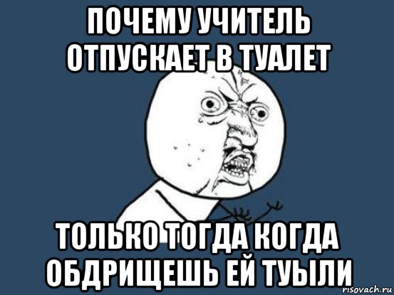 почему учитель отпускает в туалет только тогда когда обдрищешь ей туыли, Мем Ну почему