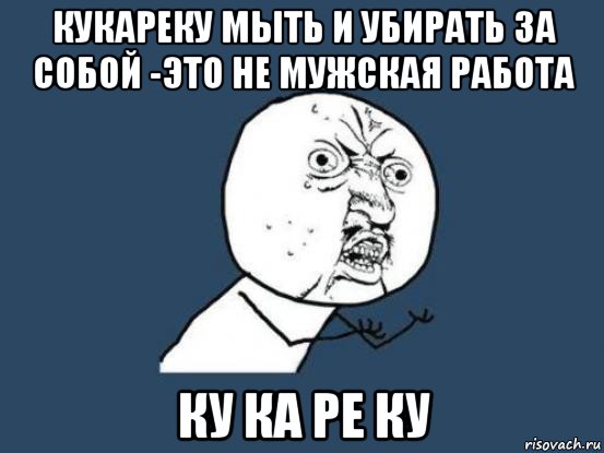 кукареку мыть и убирать за собой -это не мужская работа ку ка ре ку, Мем Ну почему