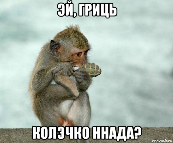 эй, гриць колэчко ннада?