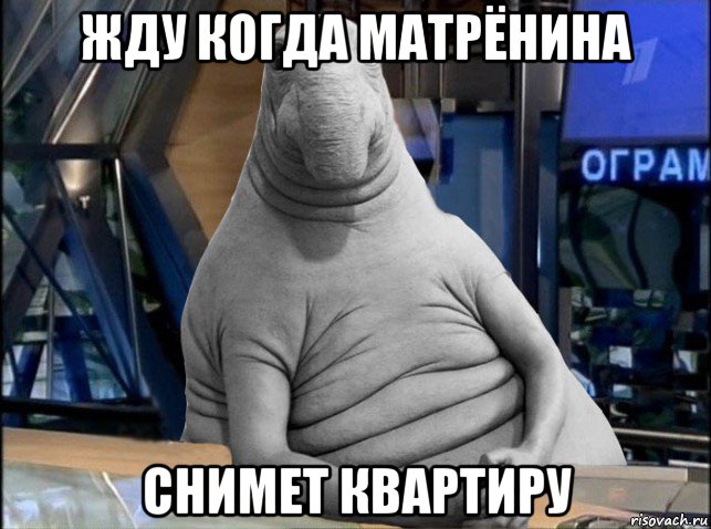жду когда матрёнина снимет квартиру