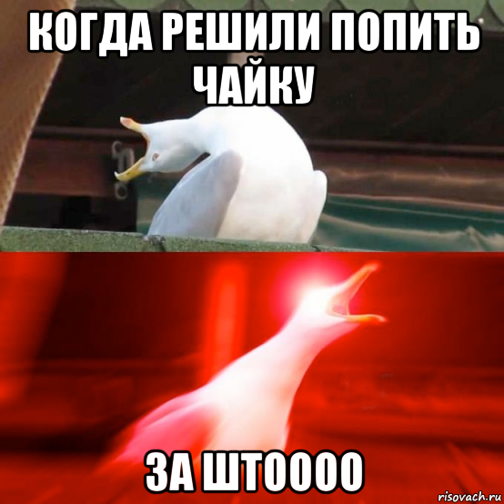 когда решили попить чайку за штоооо