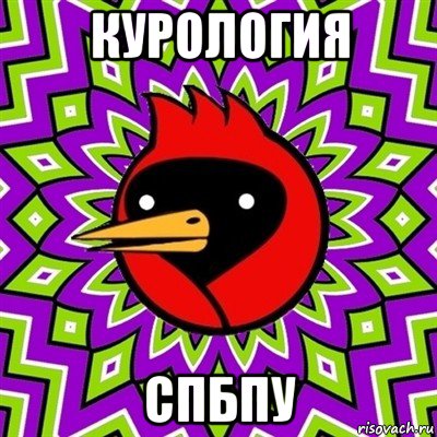 курология спбпу, Мем Омская птица