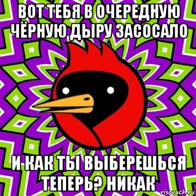 вот тебя в очередную чёрную дыру засосало и как ты выберешься теперь? никак, Мем Омская птица