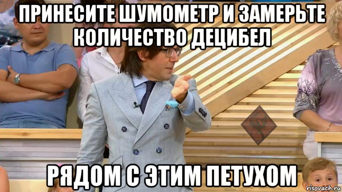 принесите шумометр и замерьте количество децибел рядом с этим петухом, Мем ОР Малахов