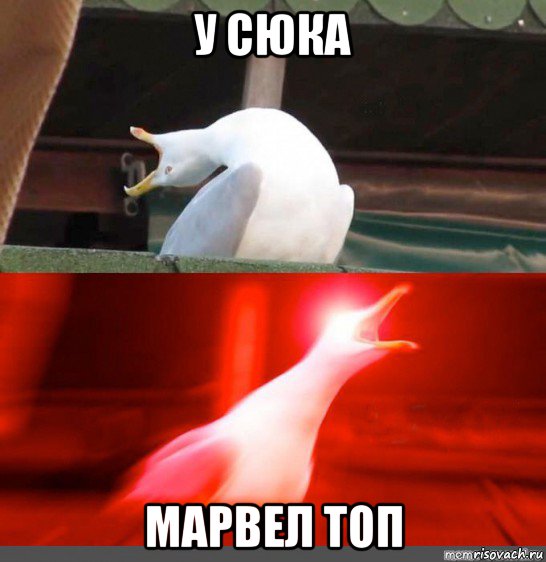 у сюка марвел топ