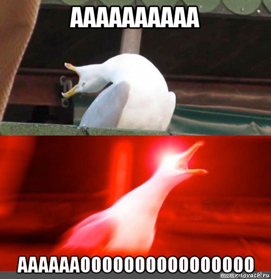 аааааааааа ааааааоооооооооооооооо