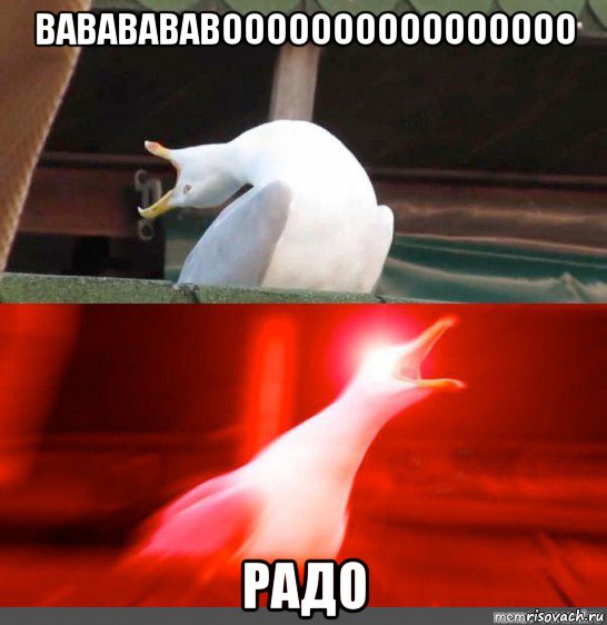 вававававоооооооооооооооо радо