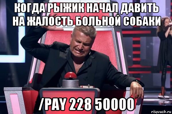 когда рыжик начал давить на жалость больной собаки /pay 228 50000, Мем   Отчаянный Агутин