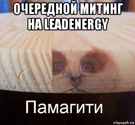 очередной митинг на leadenergy 