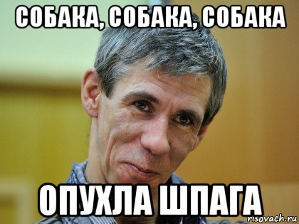 собака, собака, собака опухла шпага