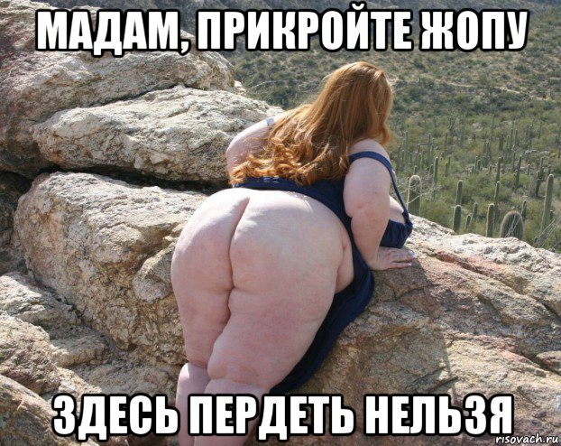 мадам, прикройте жопу здесь пердеть нельзя