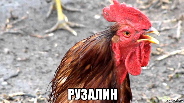  рузалин