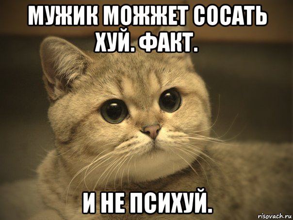 мужик можжет сосать хуй. факт. и не психуй.