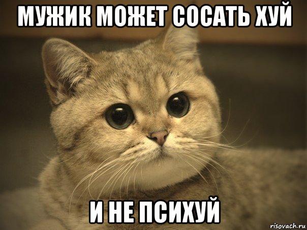 мужик может сосать хуй и не психуй, Мем Пидрила ебаная котик