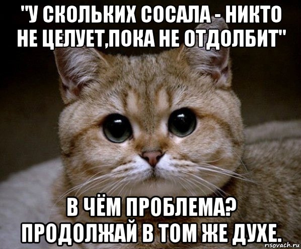 "у скольких сосала - никто не целует,пока не отдолбит" в чём проблема? продолжай в том же духе., Мем Пидрила Ебаная