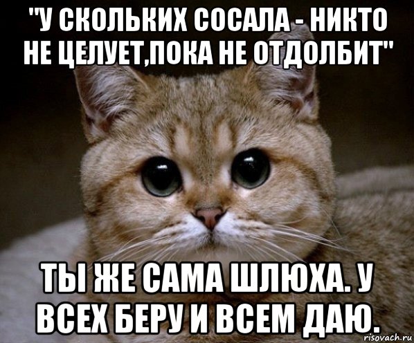 "у скольких сосала - никто не целует,пока не отдолбит" ты же сама шлюха. у всех беру и всем даю., Мем Пидрила Ебаная