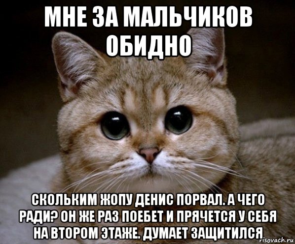 мне за мальчиков обидно скольким жопу денис порвал. а чего ради? он же раз поебет и прячется у себя на втором этаже. думает защитился, Мем Пидрила Ебаная