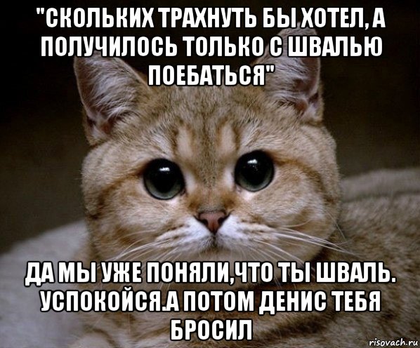 "скольких трахнуть бы хотел, а получилось только с швалью поебаться" да мы уже поняли,что ты шваль. успокойся.а потом денис тебя бросил, Мем Пидрила Ебаная