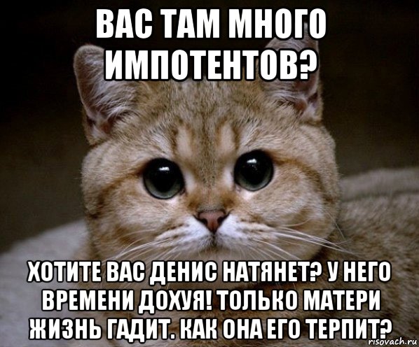 вас там много импотентов? хотите вас денис натянет? у него времени дохуя! только матери жизнь гадит. как она его терпит?, Мем Пидрила Ебаная