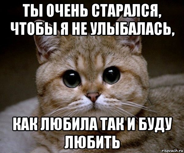 ты очень старался, чтобы я не улыбалась, как любила так и буду любить, Мем Пидрила Ебаная