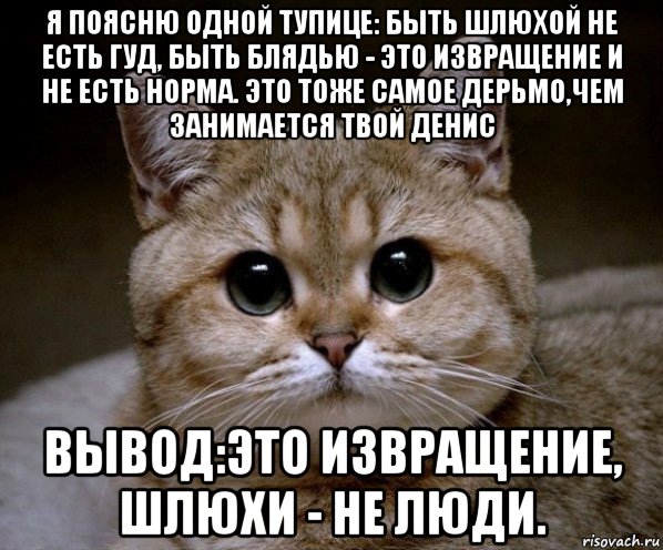 я поясню одной тупице: быть шлюхой не есть гуд, быть блядью - это извращение и не есть норма. это тоже самое дерьмо,чем занимается твой денис вывод:это извращение, шлюхи - не люди., Мем Пидрила Ебаная