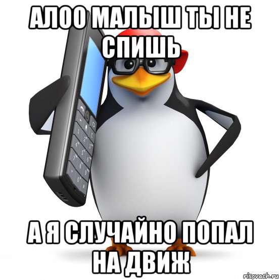 алоо малыш ты не спишь а я случайно попал на движ, Мем   Пингвин звонит