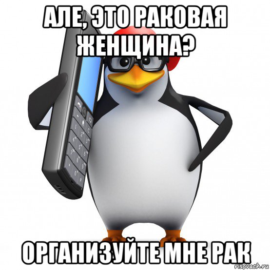 але, это раковая женщина? организуйте мне рак, Мем   Пингвин звонит