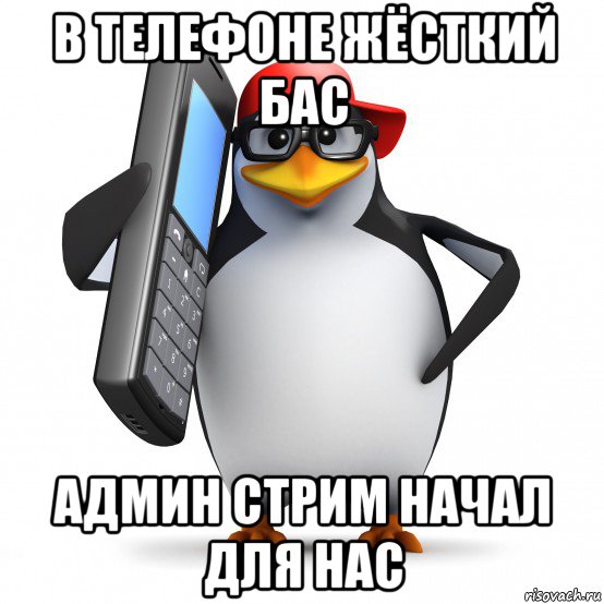 в телефоне жёсткий бас админ стрим начал для нас, Мем   Пингвин звонит